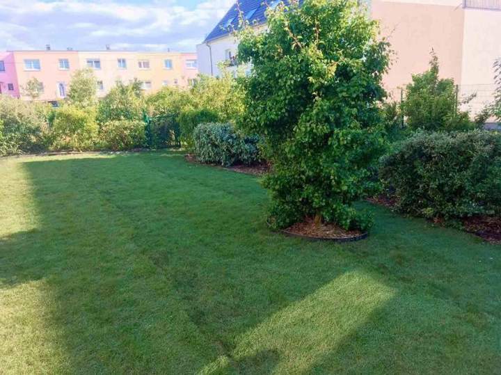 Entretien espaces verts Berrwiller