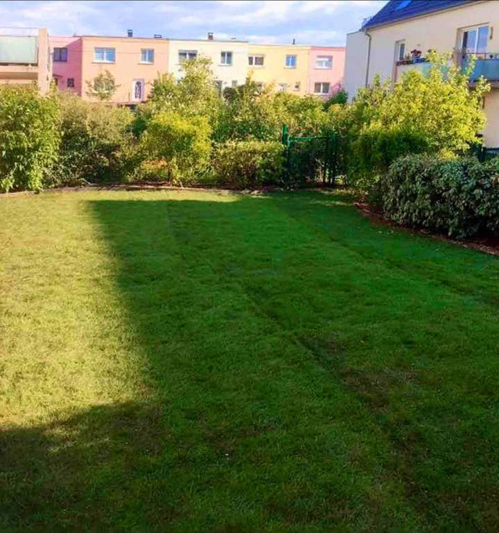 Entretien espaces verts Berrwiller