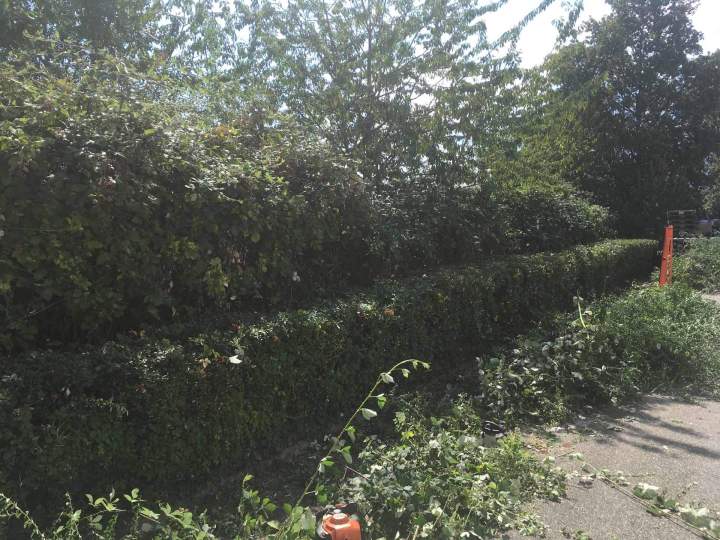 Entretien espace vert Berrwiller