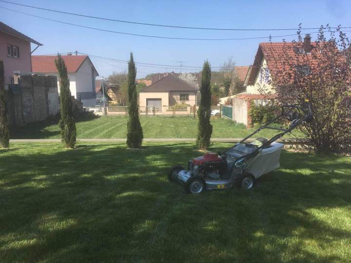 Entretien jardin Berrwiller