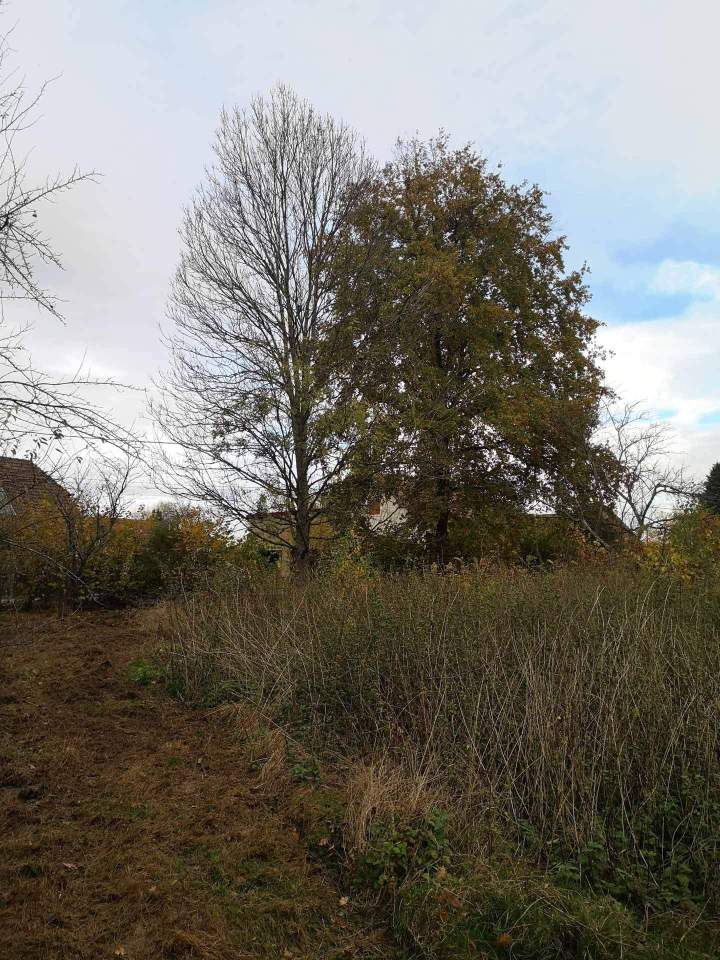 Extérieur moderne Berrwiller