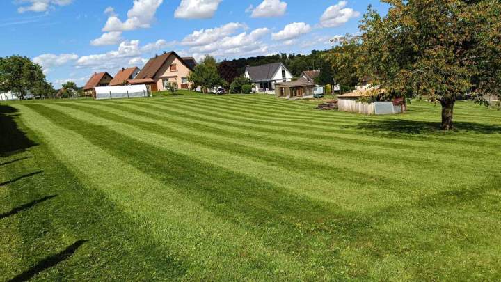 Maintenance espaces verts Berrwiller