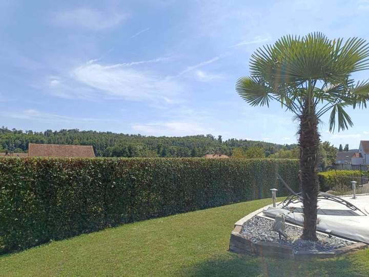 Maintenance espaces verts Berrwiller