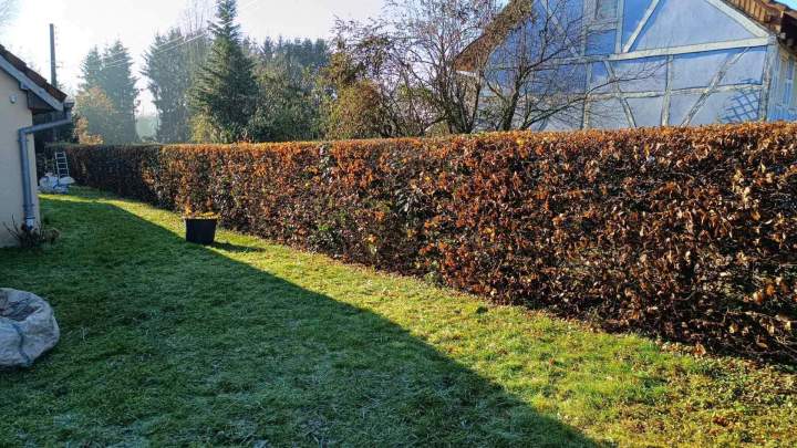 Maintenance espaces verts Berrwiller