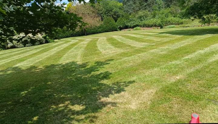 Optimisation jardin Berrwiller