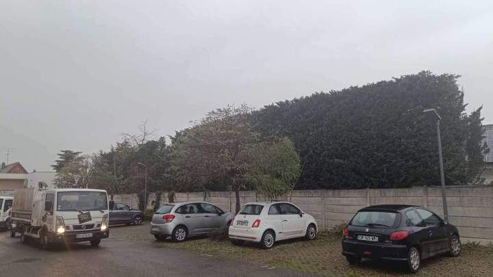 Réalisation jardin Berrwiller