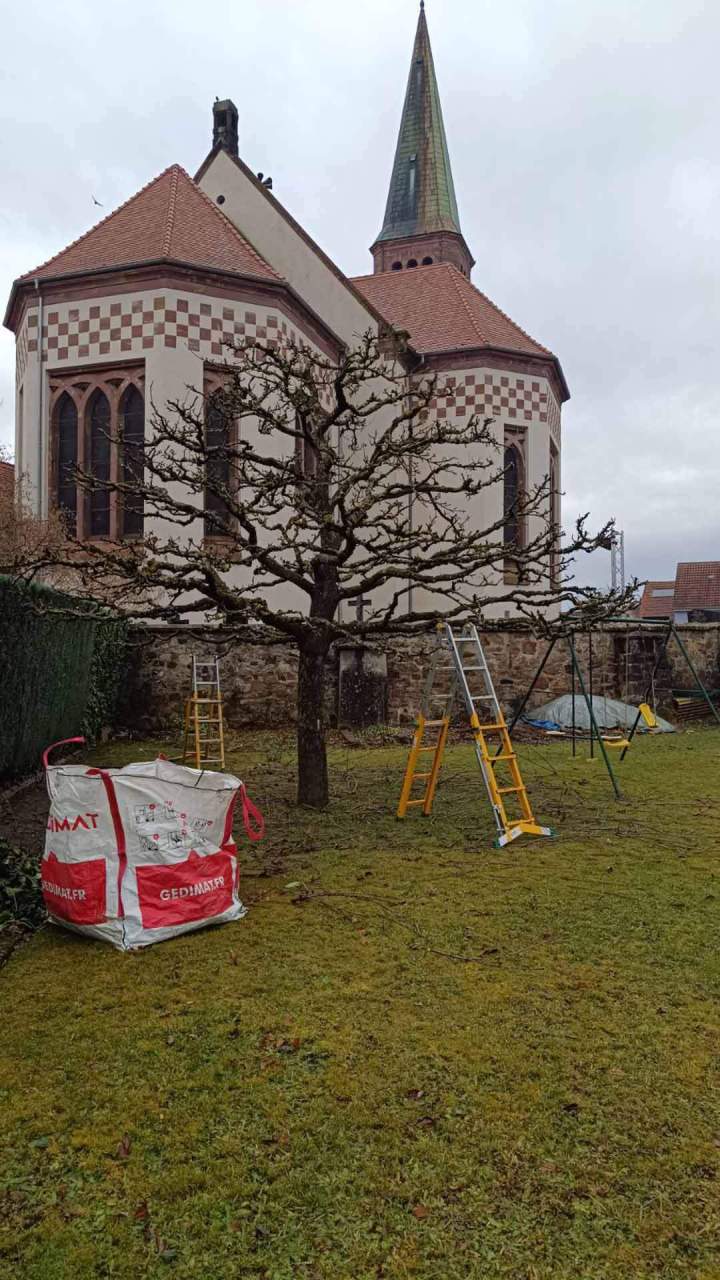 Service entretien paysager Berrwiller