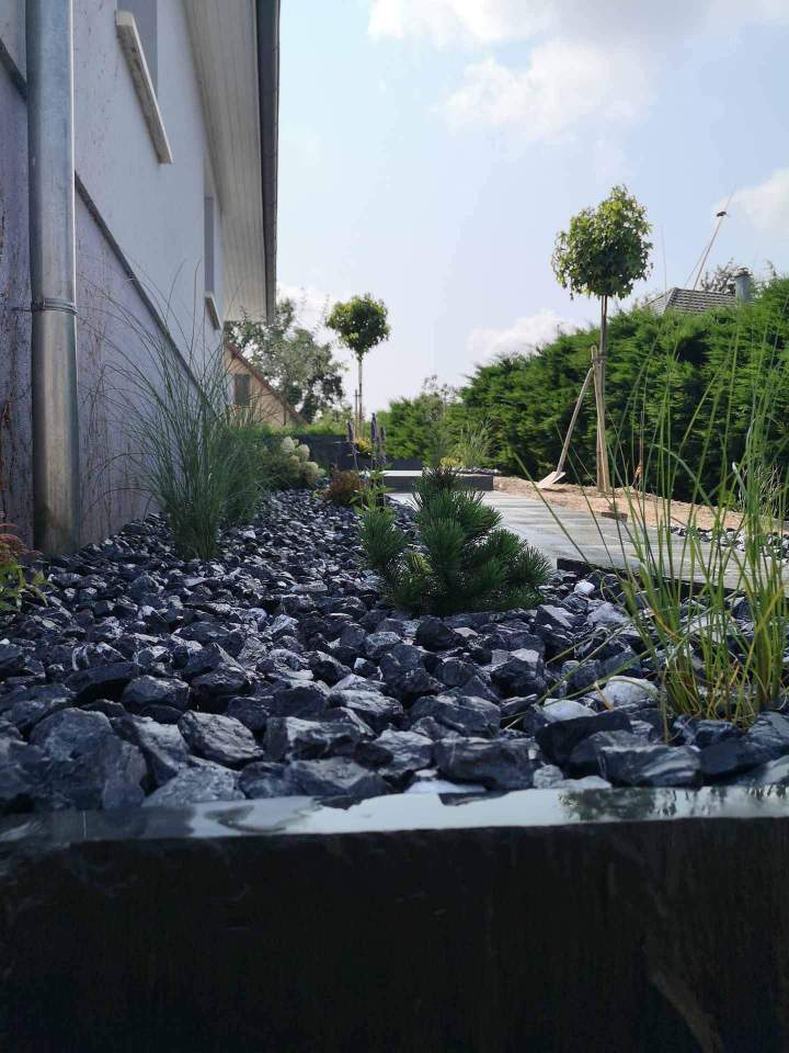 Soins végétaux Berrwiller