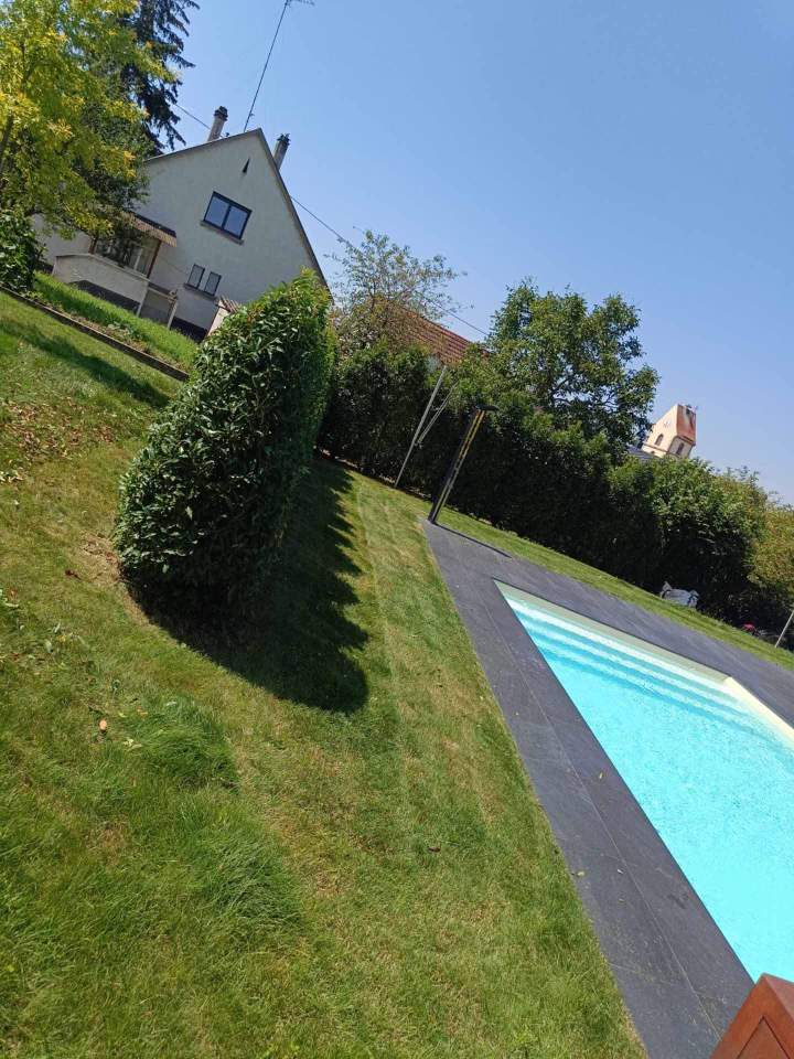 Soins végétaux Berrwiller