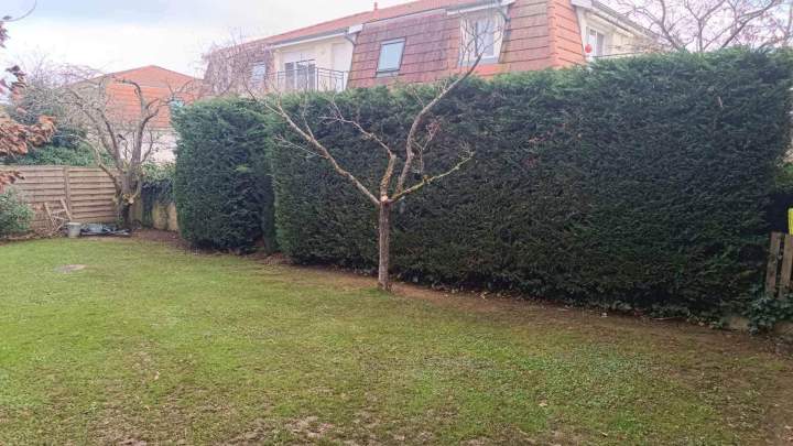 Soins végétaux Berrwiller