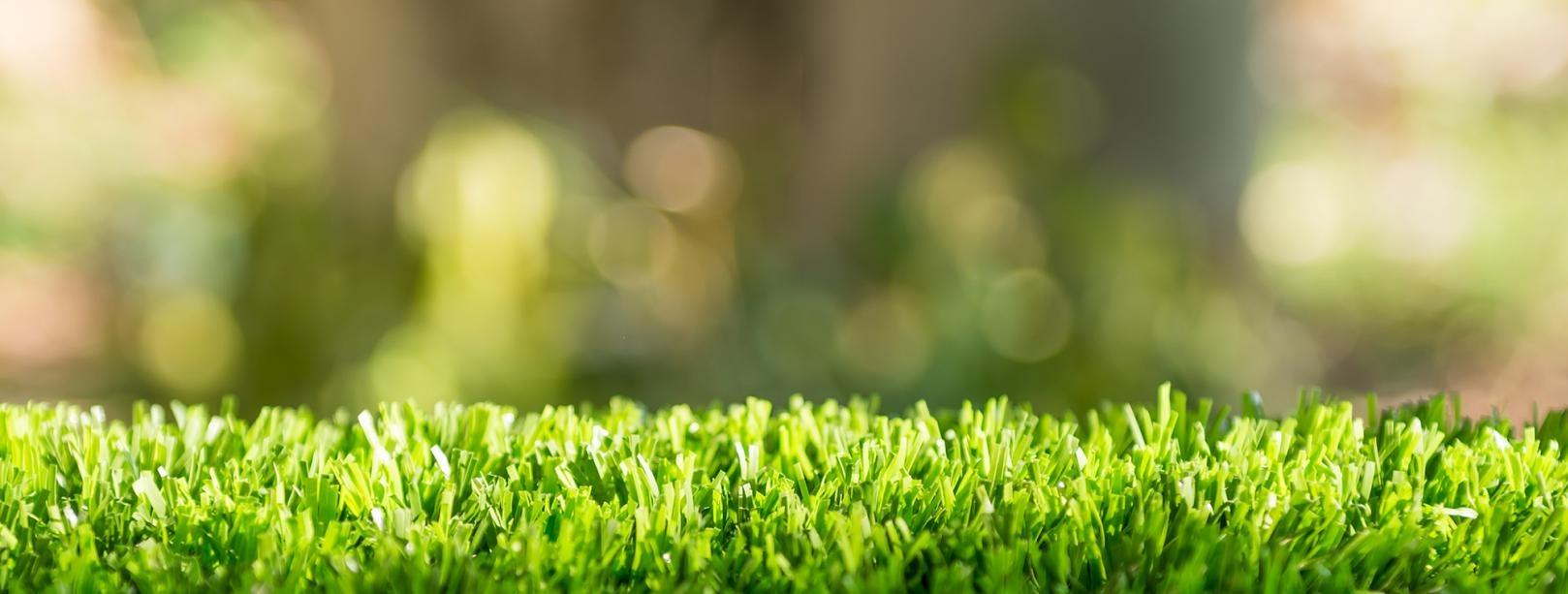 Entretien de jardin Cernay