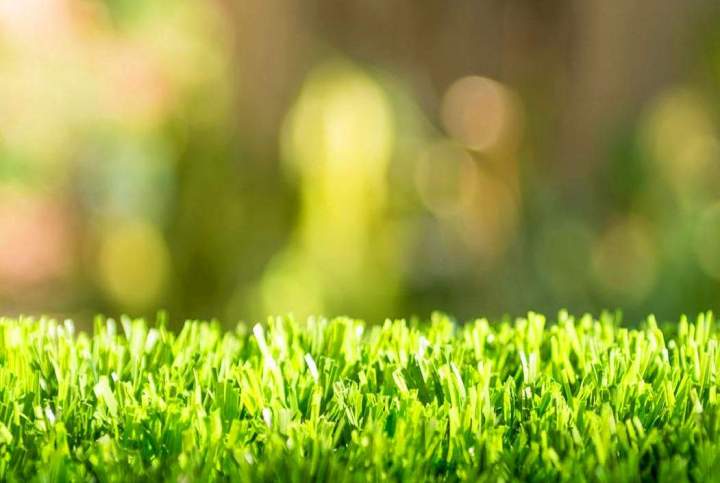Entretien de jardin Berrwiller