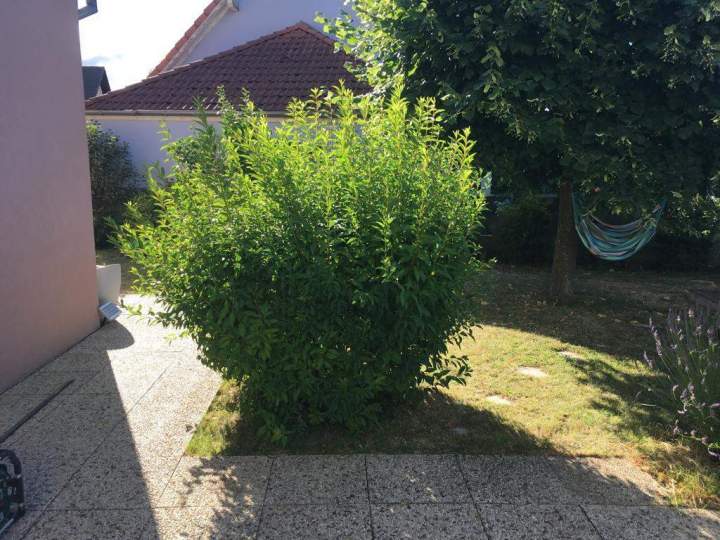 Aménagement extérieur Berrwiller