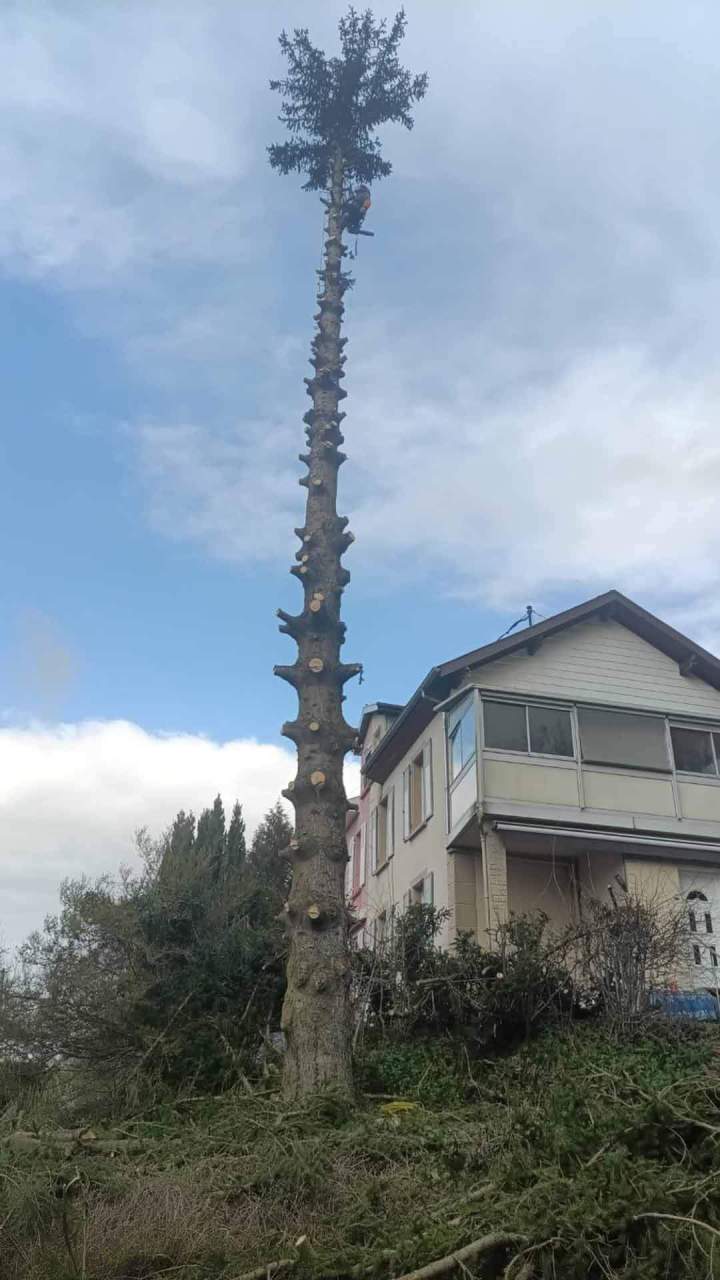 lagage zone résidentielle Berrwiller